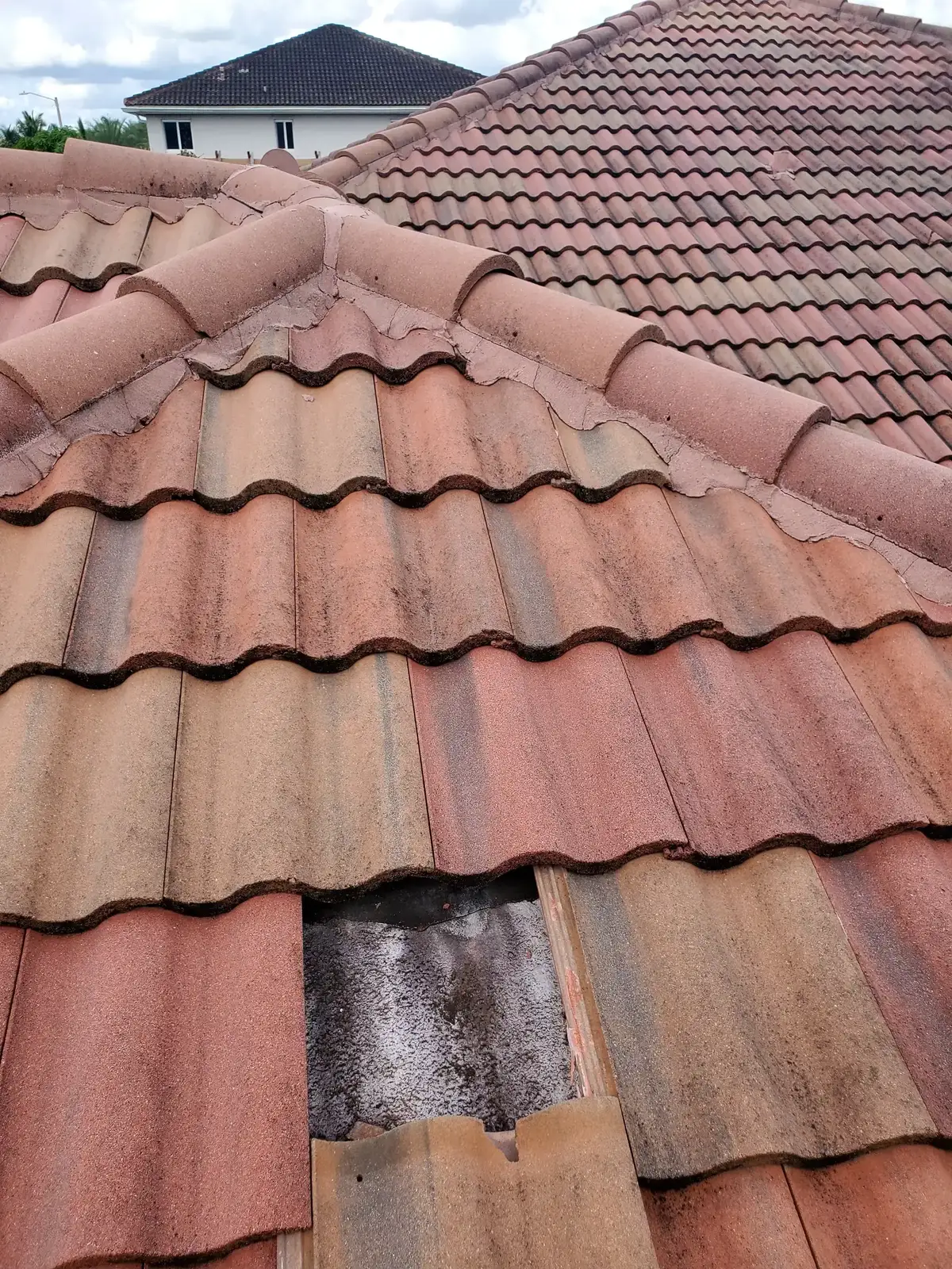 Insurance Report Project - 1