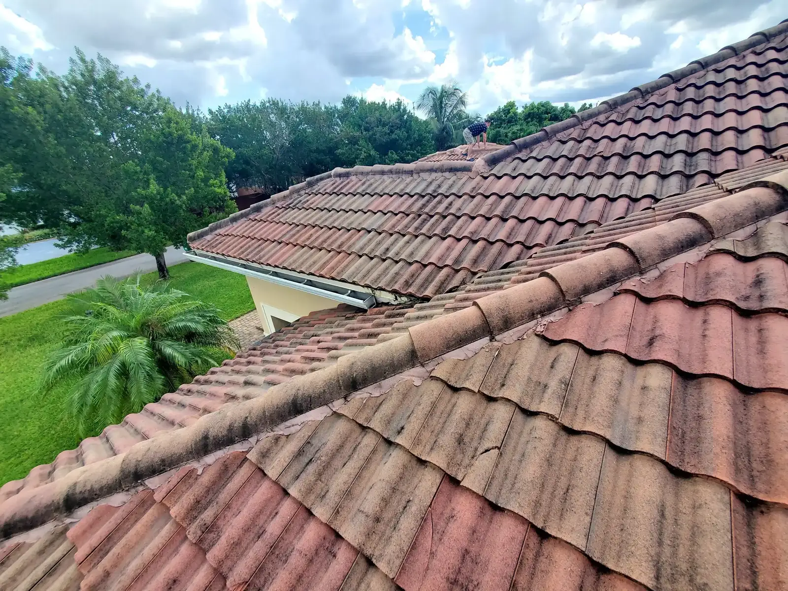 Insurance Report Project - 3