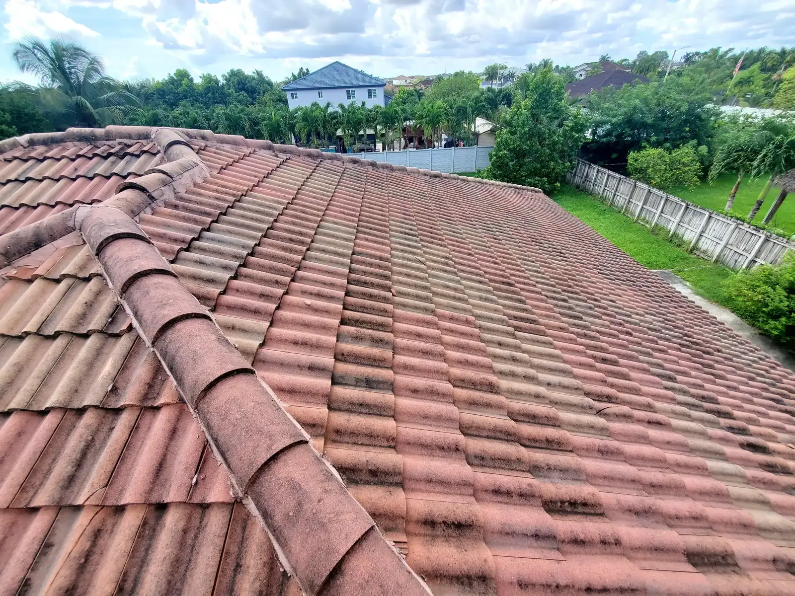 Insurance Report Project - 4