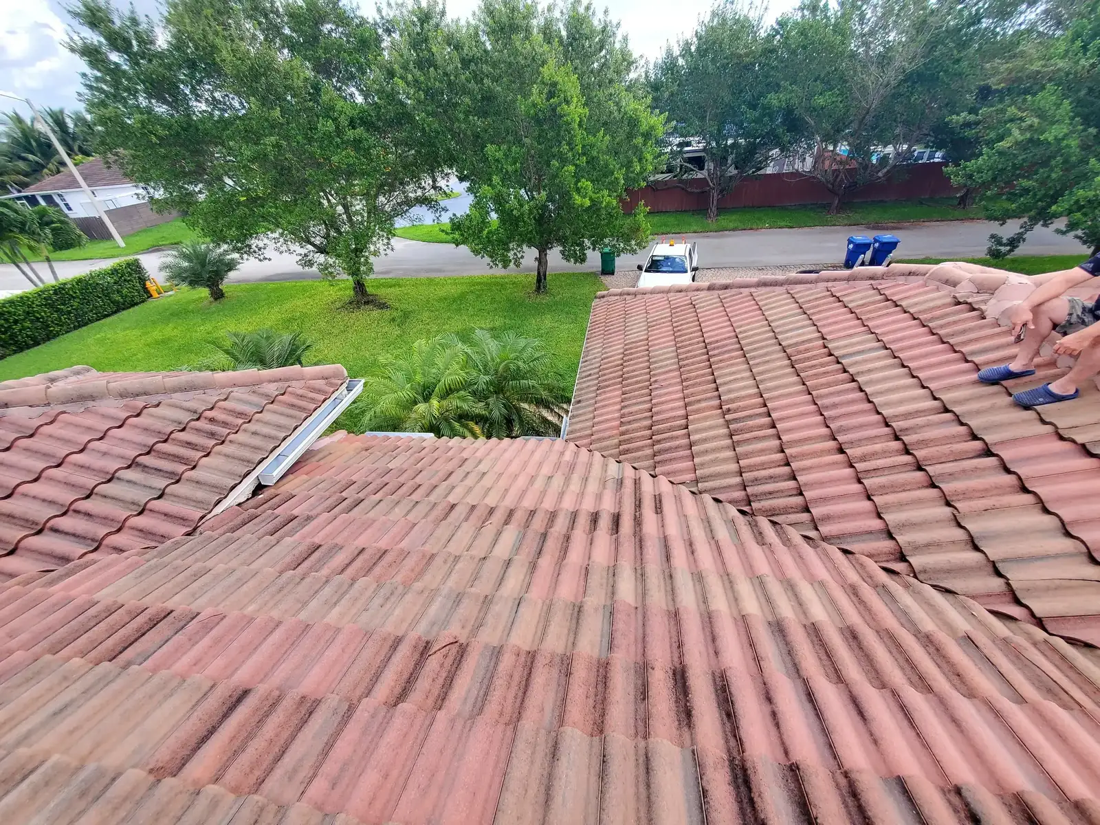 Insurance Report Project - 6