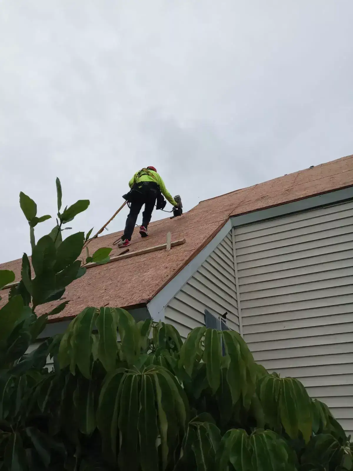 Residential Shingles